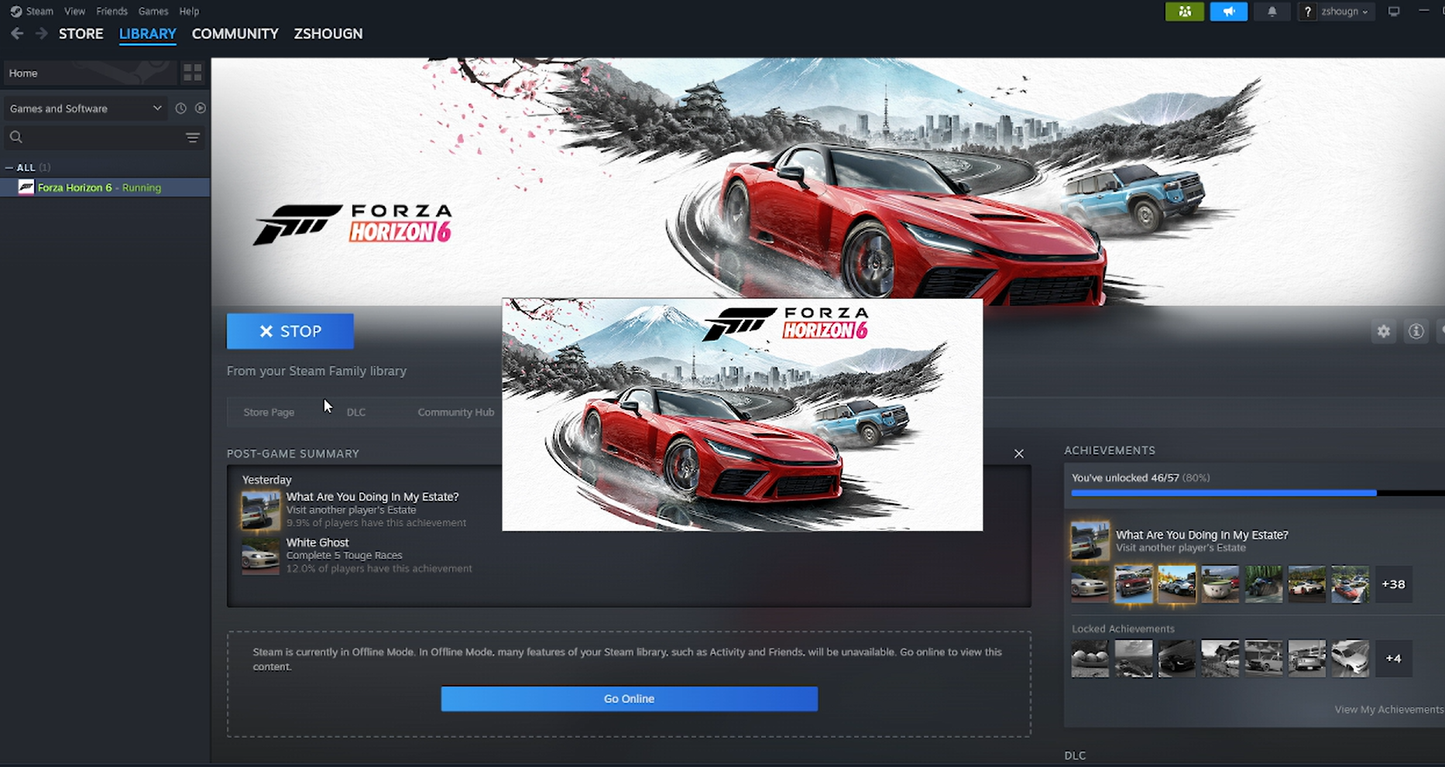 Forza Horizon 6 Offline  Access （Steam）